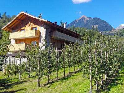 Bild 2 aus  Grannerhof - Urlaub auf dem Bauernhof