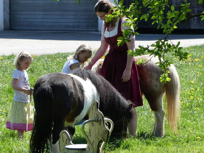 Bild 20 aus  Mojer Hof