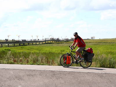 Bild 64 aus  Ferienhof Peter -  Ponys - streicheln, striegeln, füttern  -  Wattwanderungen + ganz viel Nordsee