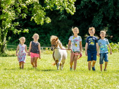 Bild 33 aus  LandSelection Hanznhof