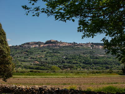 Bild 7 aus  Tenuta Il Cicalino