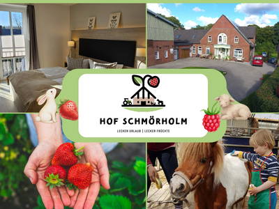 Bild 2 aus  Hof  Schmörholm Urlaubs- und Früchtehof
