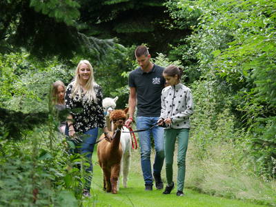 Bild 17 aus  Ferienhof Werner