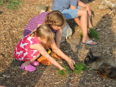 Bild 26 aus  Ferienhof Meetz