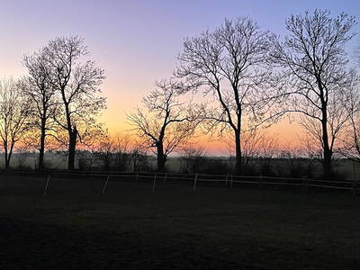 Bild 56 aus  Ferienhof Lüders-Köneke, Marianne Lüders-Köneke