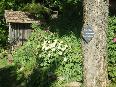 Bild 5 aus  Gottelhof