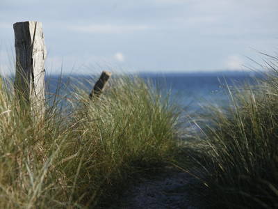 Bild 10 aus  Hof Klostersee