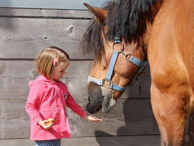 Bild 6 aus  Schellen Hof