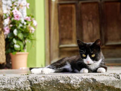 Bild 30 aus  LandSelection Staller Ferienhof