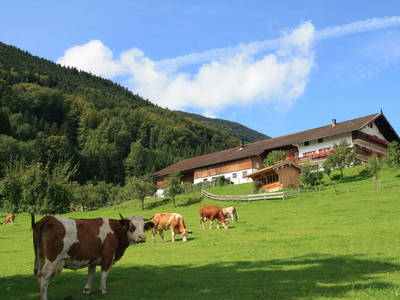 Bild 5 aus  Unterulpointhof