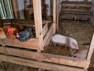 Bild 12 aus  Behringhof am Gamengrund