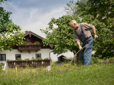 Bild 14 aus  Matheishof