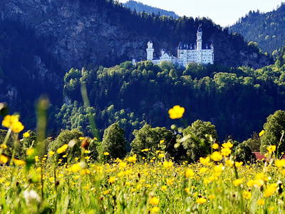 Bild 31 aus  Augustinerhof