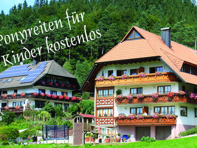 Bild 2 aus  Schlosshof - der Urlaubsbauernhof