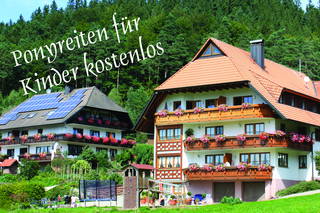 Schlosshof - der Urlaubsbauernhof aus Elzach