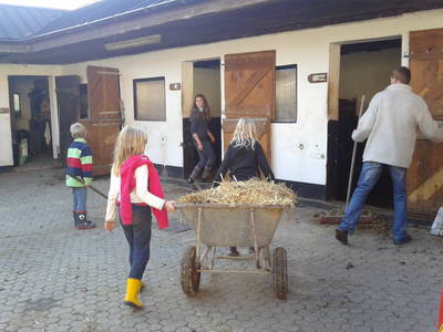 Bild 10 aus  Ferienhof Pulte