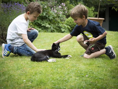 Bild 27 aus  Ferienhof Gröne