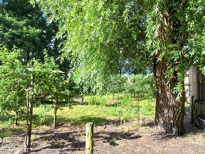 Bild 5 aus  Hof Vorwerk Familie Böye