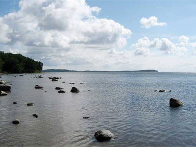 Bild 22 aus  Alte Scheune Krakvitz, Inh. Gisela Stolpe&Peter Hübner
