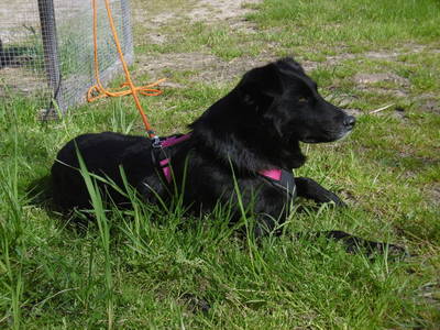 Bild 10 aus  Inselurlaub Fehmarn