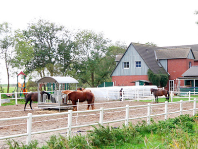 Bild 16 aus  Ferienhof Peter -  Ponys - streicheln, striegeln, füttern  -  Wattwanderungen + ganz viel Nordsee
