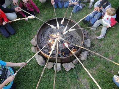 Bild 12 aus  Birkholmhof - mit Biopool und Hot-Tub Whirlpool - für  Familien und Gruppen