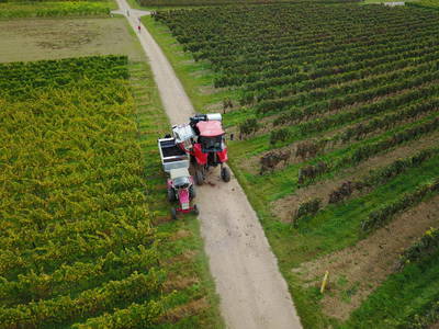 Bild 33 aus  Weingut Butzbach