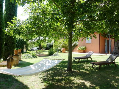 Ein Teil des Gartens