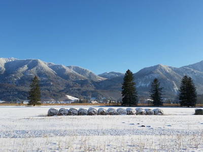 Bild 31 aus  Aparthotel Alpenpark
