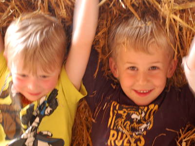 Bild 17 aus  Biohof Grafel - ein Ort, der verbindet