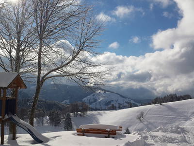Bild 13 aus  Rotenhof - ein Hof mit Weitblick