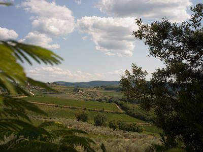 Bild 4 aus  LandSelection Weingut "IL PALAGIO"