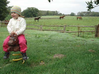 Bild 28 aus  FerienGut Dalwitz     www.feriengutdalwitz.de