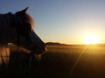 Bild 21 aus  Ferienhof Neudeck