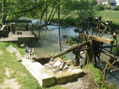 Bild 17 aus  Gottelhof