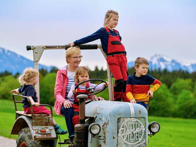 Bild 5 aus  Lohner-Hof