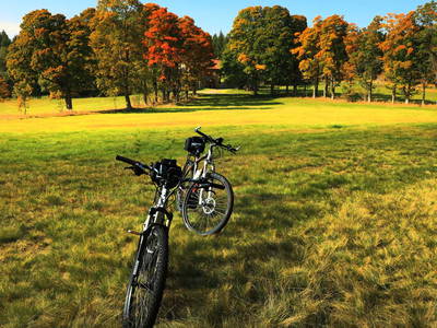 Bild 70 aus  Paulas Bauernhof im Bayerischen Wald