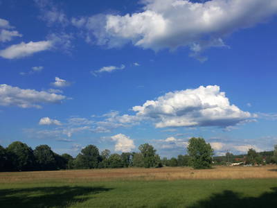 Bild 16 aus  Ferienhof Tillich - Erholsamer Landurlaub nahe dem Spreewald
