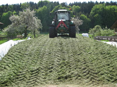 Grassilage ernte
