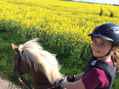 Bild 19 aus  Ferienhof Meetz