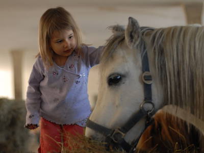 Bild 29 aus  Erharthof - Familie Lautenbacher
