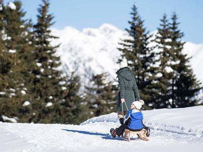 Bild 55 aus  Steinerhof