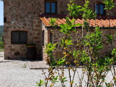 Bild 14 aus  Tenuta Il Cicalino