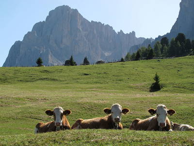 Bild 29 aus  Fillhof