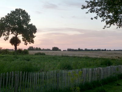 Bild 6 aus  Ferien in Zahren