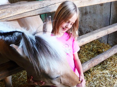 Bild 4 aus  Ferienhof Dingeldey