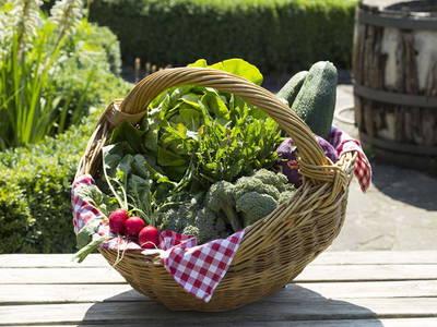 Bild 27 aus  Bio-Obstgut Oberhof