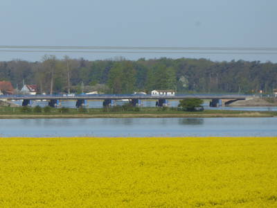 Bild 64 aus  Ferienhaus Gut Rattelvitz-INSEL RÜGEN