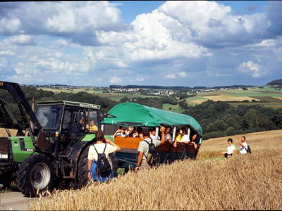 Bild 17 aus  Landgasthaus Hoffmann