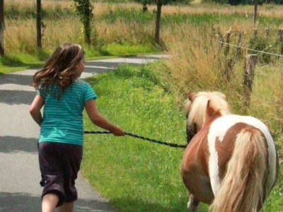 Bild 8 aus  Ostseeferienhof Tralau